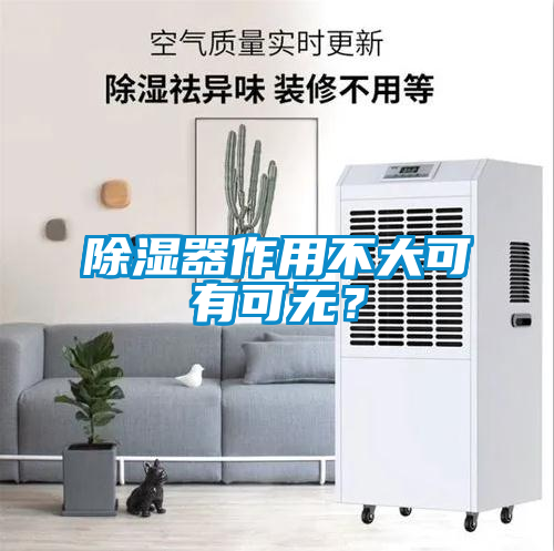 除湿器作用不大可有可无？