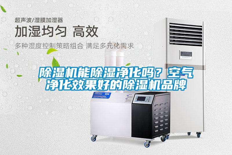 除湿机能除湿净化吗？空气净化效果好的除湿机品牌