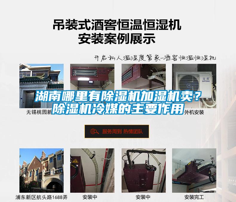 湖南哪里有除湿机加湿机卖？除湿机冷媒的主要作用