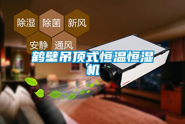 鹤壁吊顶式恒温恒湿机