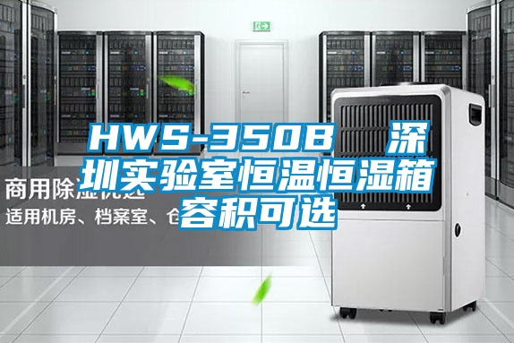 HWS-350B  深圳实验室恒温恒湿箱容积可选