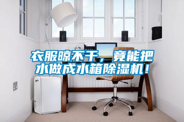 衣服晾不干，竟能把水做成水箱除湿机！