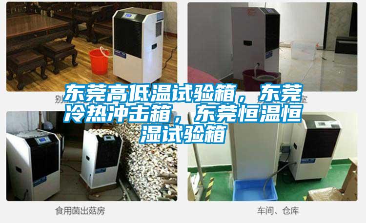 東莞高低溫試驗(yàn)箱，東莞冷熱沖擊箱，東莞恒溫恒濕試驗(yàn)箱