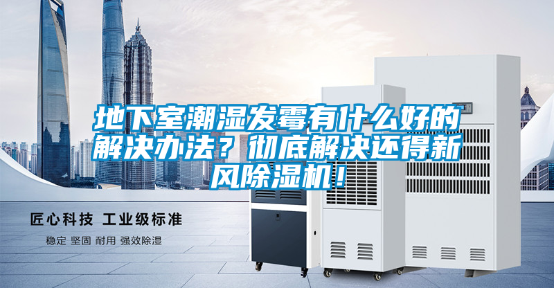 地下室潮湿发霉有什么好的解决办法？彻底解决还得新风除湿机！