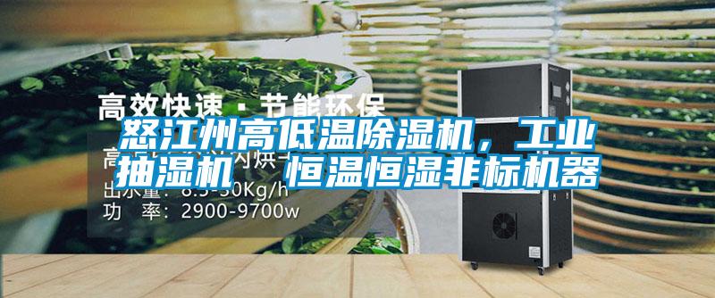 怒江州高低溫除濕機(jī)，工業(yè)抽濕機(jī)  恒溫恒濕非標(biāo)機(jī)器