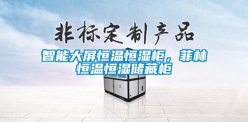 智能大屏恒温恒湿柜，菲林恒温恒湿储藏柜