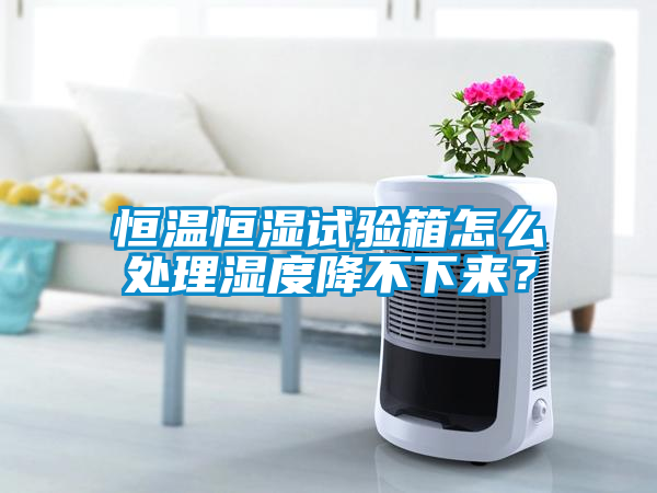 恒温恒湿试验箱怎么处理湿度降不下来？