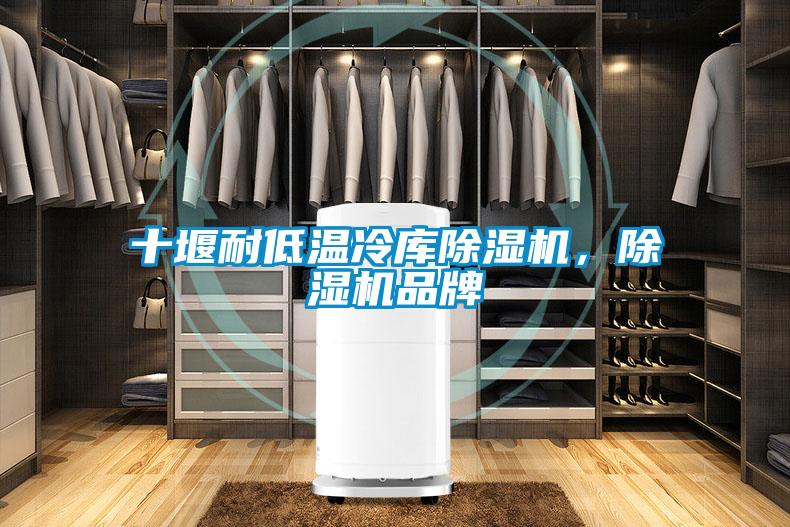 十堰耐低温冷库除湿机，除湿机品牌