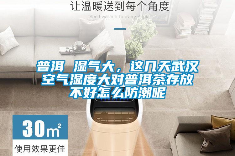 普洱 湿气大，这几天武汉空气湿度大对普洱茶存放不好怎么防潮呢