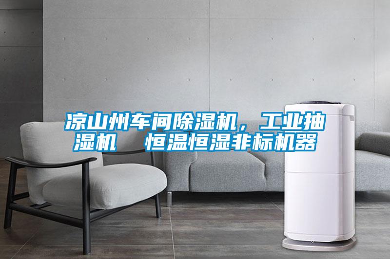 凉山州车间除湿机，工业抽湿机  恒温恒湿非标机器