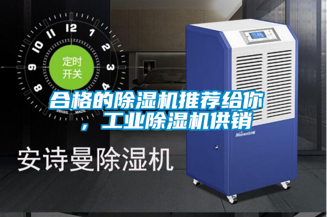 合格的除湿机推荐给你 ，工业除湿机供销