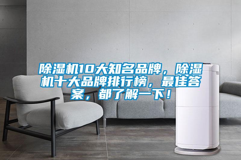 除湿机10大知名品牌，除湿机十大品牌排行榜，最佳答案，都了解一下！