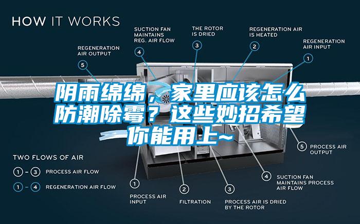 阴雨绵绵，家里应该怎么防潮除霉？这些妙招希望你能用上~