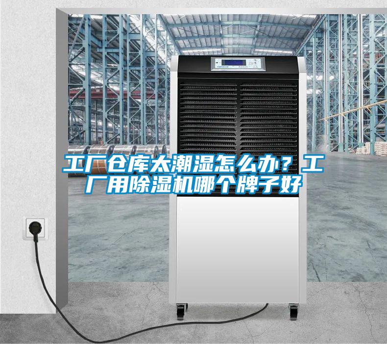 工厂仓库太潮湿怎么办？工厂用除湿机哪个牌子好