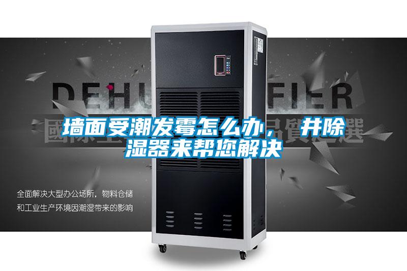 墻面受潮發(fā)霉怎么辦，東井除濕器來幫您解決