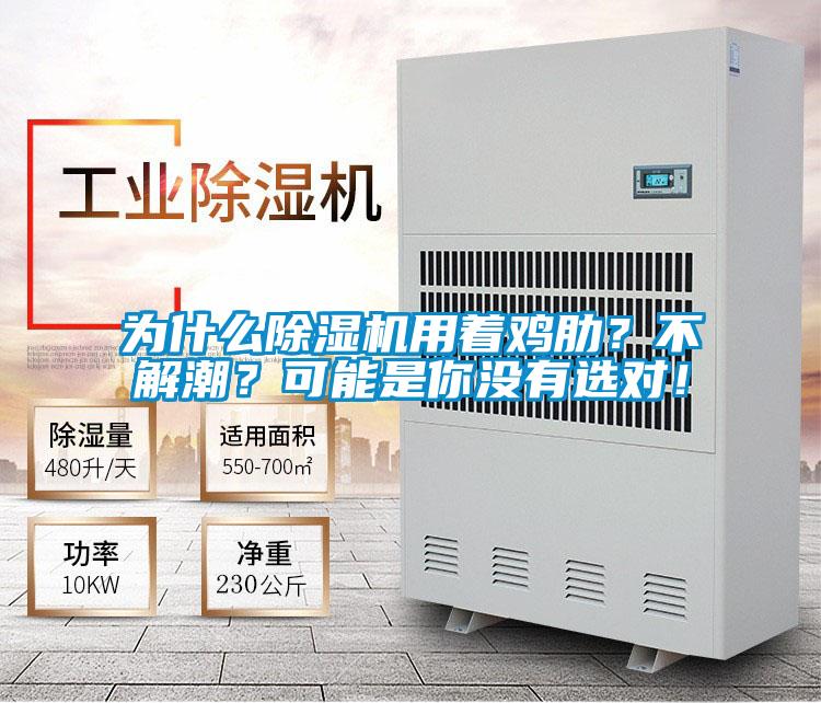 為什么除濕機用著雞肋？不解潮？可能是你沒有選對！