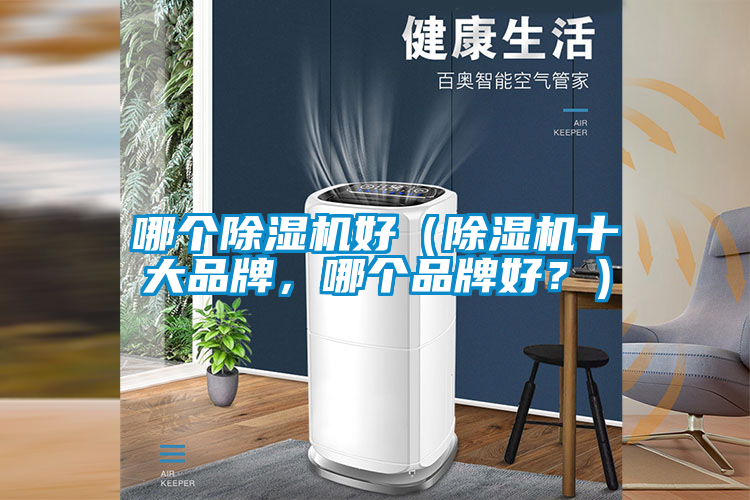 哪个除湿机好（除湿机十大品牌，哪个品牌好？）