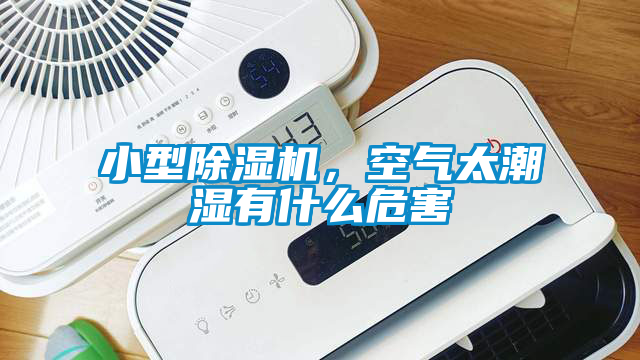 小型除湿机，空气太潮湿有什么危害