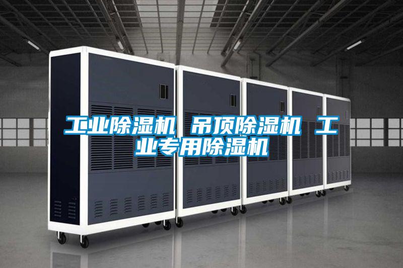 工业除湿机 吊顶除湿机 工业专用除湿机