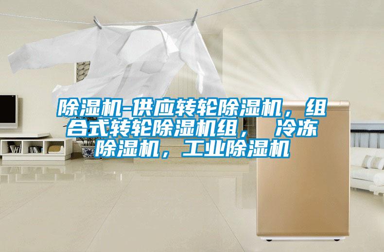 除湿机-供应转轮除湿机，组合式转轮除湿机组， 冷冻除湿机，工业除湿机