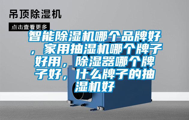 智能除湿机哪个品牌好，家用抽湿机哪个牌子好用，除湿器哪个牌子好，什么牌子的抽湿机好
