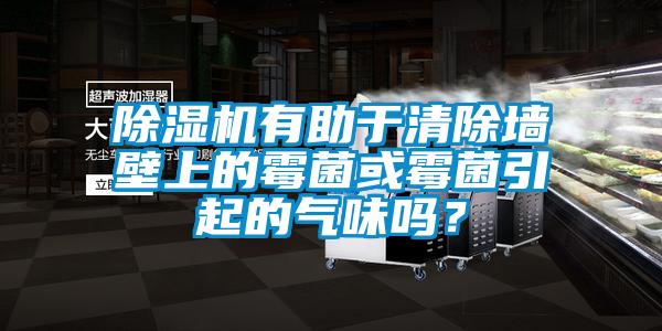除湿机有助于清除墙壁上的霉菌或霉菌引起的气味吗？