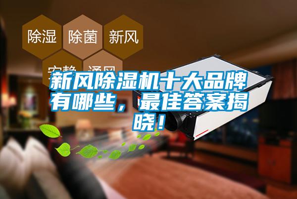 新风除湿机十大品牌有哪些，最佳答案揭晓！