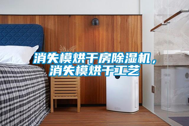 消失模烘干房除湿机，消失模烘干工艺