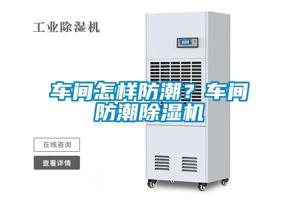 车间怎样防潮？车间防潮除湿机