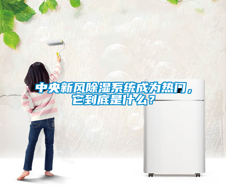 中央新风除湿系统成为热门，它到底是什么？