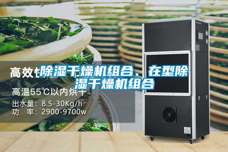 除湿干燥机组合、在型除湿干燥机组合