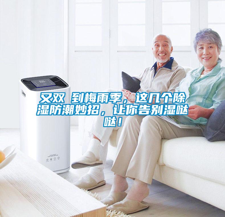 又双叒到梅雨季，这几个除湿防潮妙招，让你告别湿哒哒！