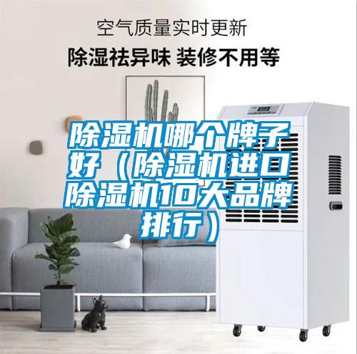 除湿机哪个牌子好（除湿机进口除湿机10大品牌排行）