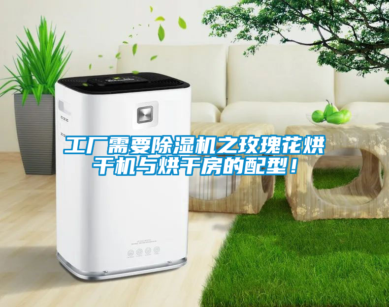 工厂需要除湿机之玫瑰花烘干机与烘干房的配型！