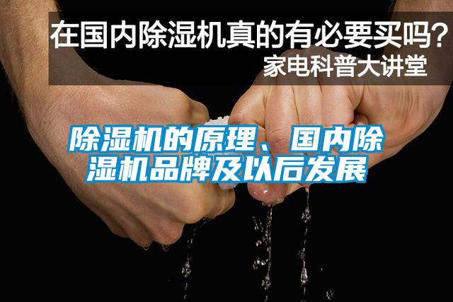 除湿机的原理、国内除湿机品牌及以后发展
