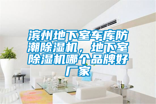 滨州地下室车库防潮除湿机，地下室除湿机哪个品牌好厂家