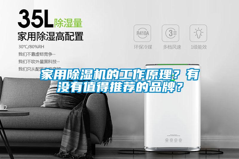 家用除湿机的工作原理？有没有值得推荐的品牌？