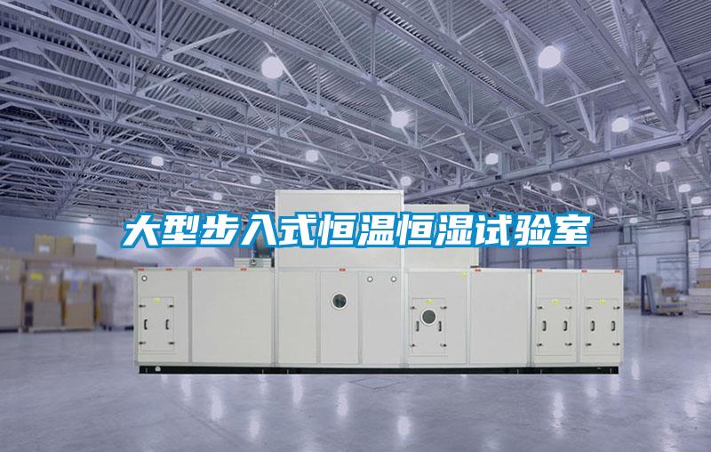 大型步入式恒温恒湿试验室