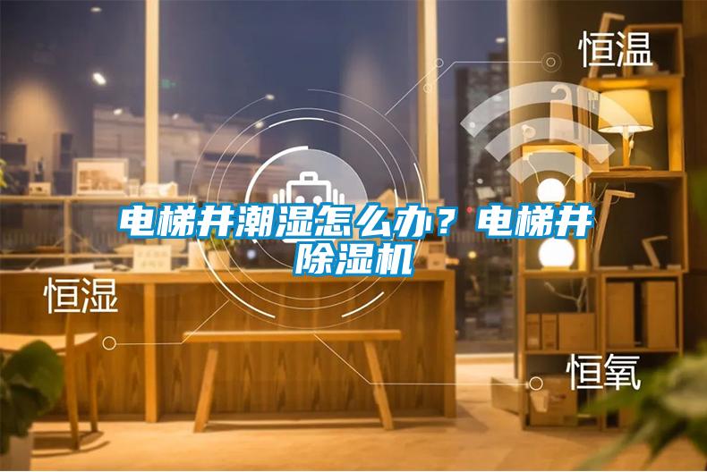 电梯井潮湿怎么办？电梯井除湿机