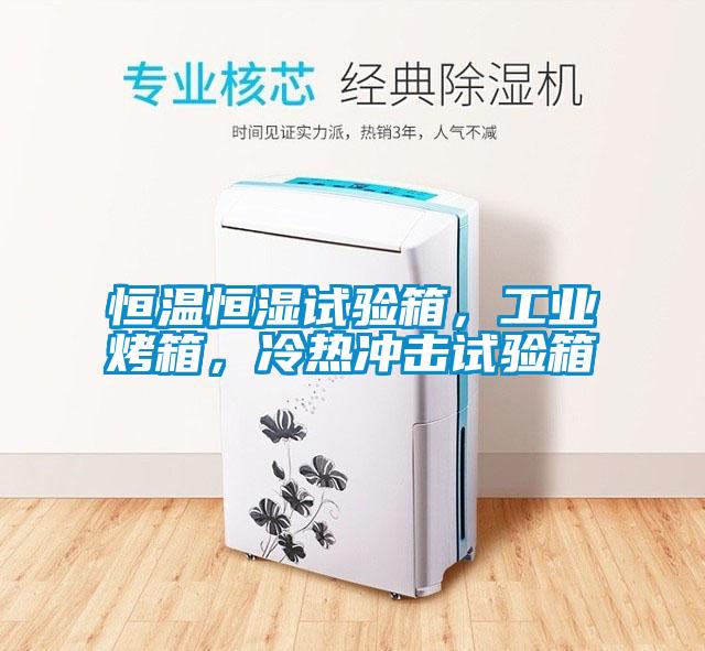 恒溫恒濕試驗箱，工業(yè)烤箱，冷熱沖擊試驗箱