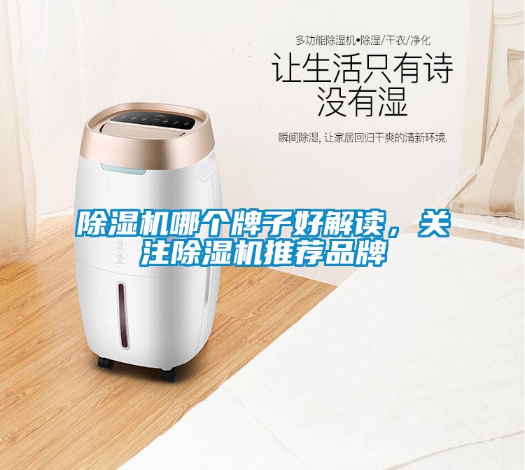 除湿机哪个牌子好解读，关注除湿机推荐品牌