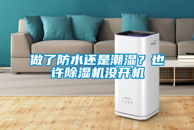 做了防水还是潮湿？也许除湿机没开机