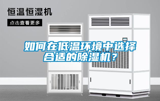 如何在低溫環(huán)境中選擇合適的除濕機？