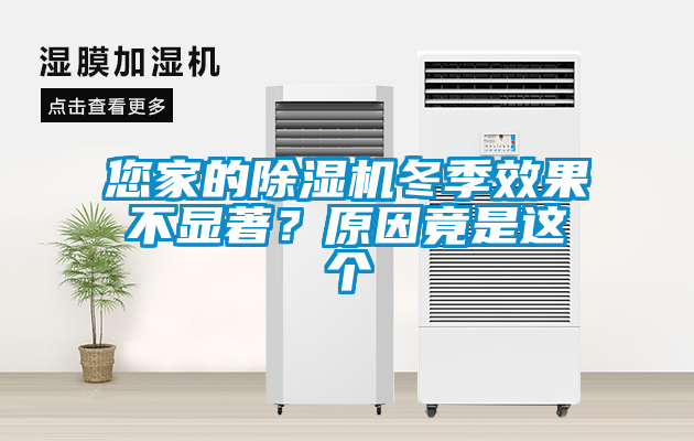 您家的除湿机冬季效果不显著？原因竟是这个
