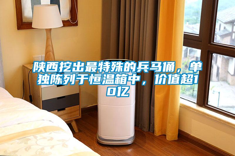 陕西挖出最特殊的兵马俑，单独陈列于恒温箱中，价值超10亿