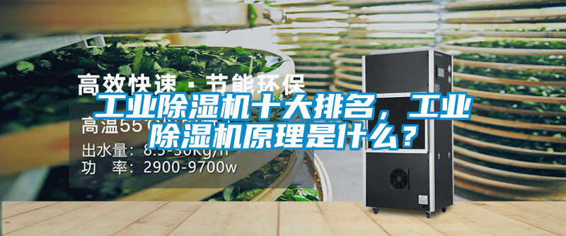 工业除湿机十大排名，工业除湿机原理是什么？