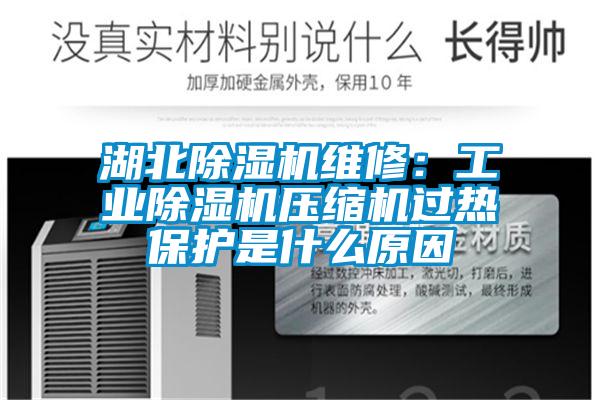 湖北除湿机维修：工业除湿机压缩机过热?；な鞘裁丛?/></p>
						    <p style=