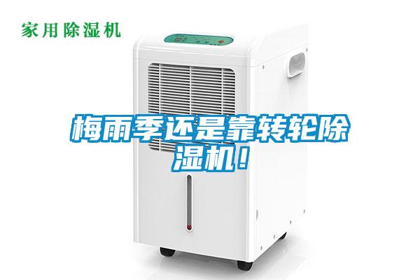 梅雨季还是靠转轮除湿机！