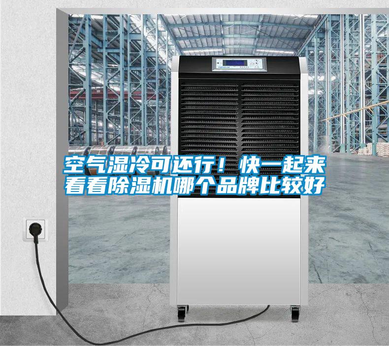 空气湿冷可还行！快一起来看看除湿机哪个品牌比较好