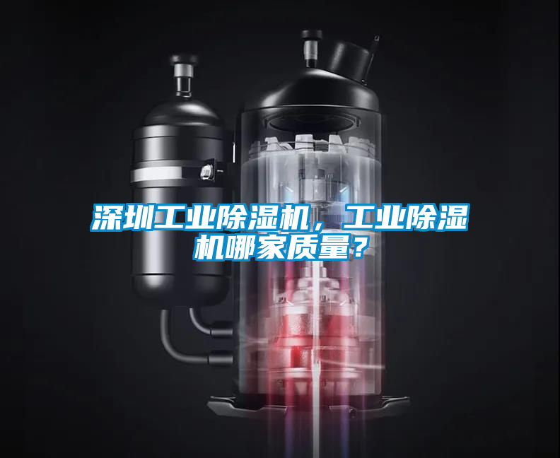 深圳工业除湿机，工业除湿机哪家质量？